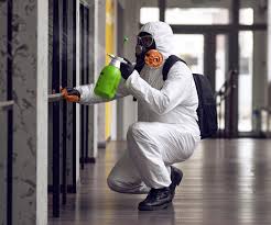 Wrightsville Beach, NC Mold Removal & Remediation Company