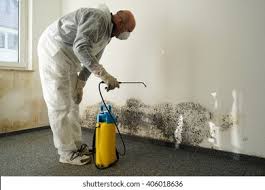 Best Mold Removal for HVAC Installations  in Wrightsville Beach, NC